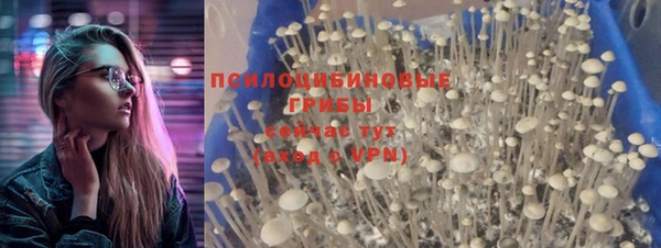 метадон Заводоуковск